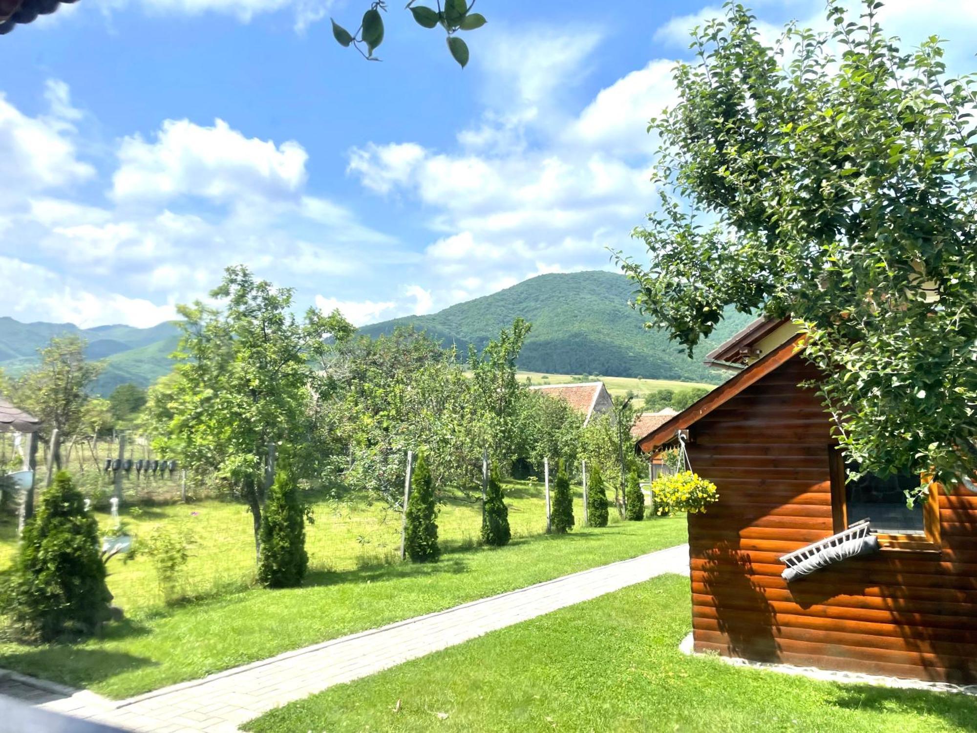 Casa De Vacanta Orlat Экстерьер фото